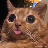 FlemingWes11221's profile picture. 