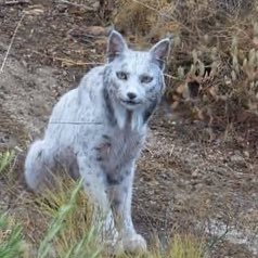 zipobaferakerio's profile picture. 