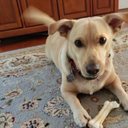 Gail Conklin - @gai19175_gail - Twitter