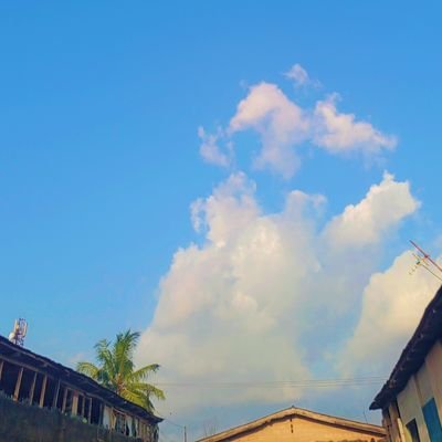 Official_Bigbee's profile picture. Brainy B | Graphic Designer | Football Lover | Chelsea fan