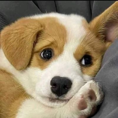 JonesDrew37753's profile picture. 