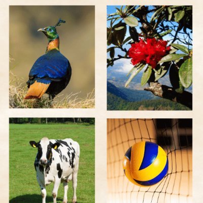 GovindaShr81894's profile picture. 