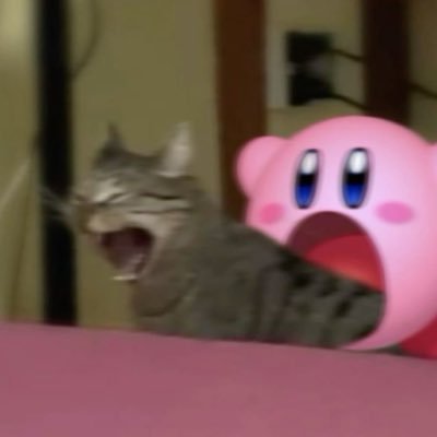 kakunez's profile picture. 24 ⋆ silly ⋆ @valorant on pc ⋆ twitch ⋆ vct enjoyer