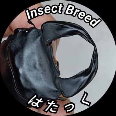 hatak_musimusi's profile picture. デニムと虫好きなおじさん( ˙灬˙)ｂ
みなさんよろしくお願いします👖🪲                 
                                                                 
BASE shopは→→https://t.co/W1o1EaLPnm