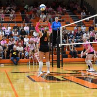 Tenley Anderson (@tenleyanderson) 's Twitter Profile