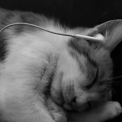 iyjullie's profile picture. ֙⋆ 🧸 𓄹 ࣪ ִֶָ