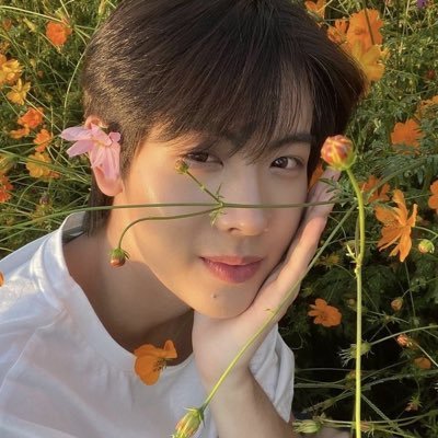 kibazxqo's profile picture. 