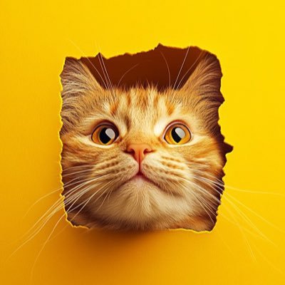 xiaoshuang5215's profile picture. 