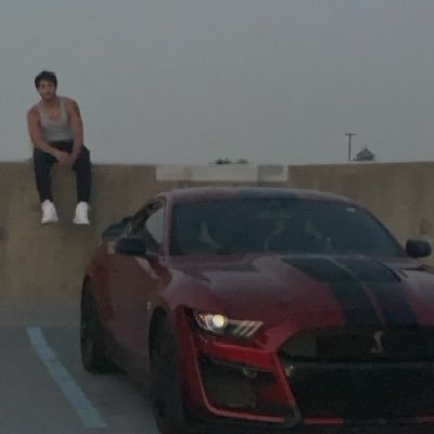 ThedogeTARD's profile picture. #dogecoin #crypto