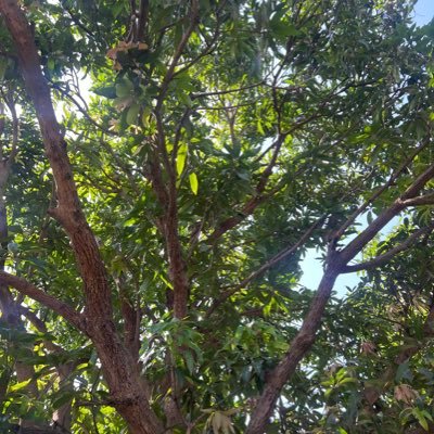 John234823539's profile picture. Follower of Christ | Living by GraceSaved by His mercy, walking in His truth "For to me, to live is Christ and to die is gain." Philippians 1:21