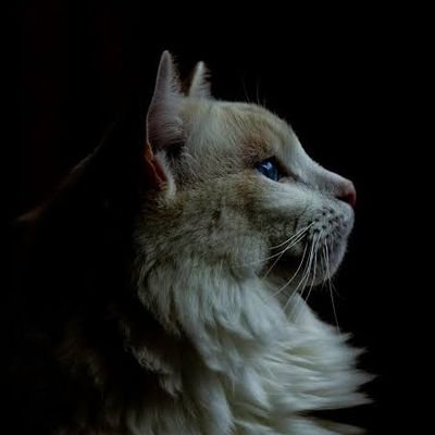 Yuhan_404's profile picture. 