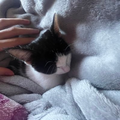 VAMPnoDELTA's profile picture. だいすきなお兄ちゃん@syusandayo