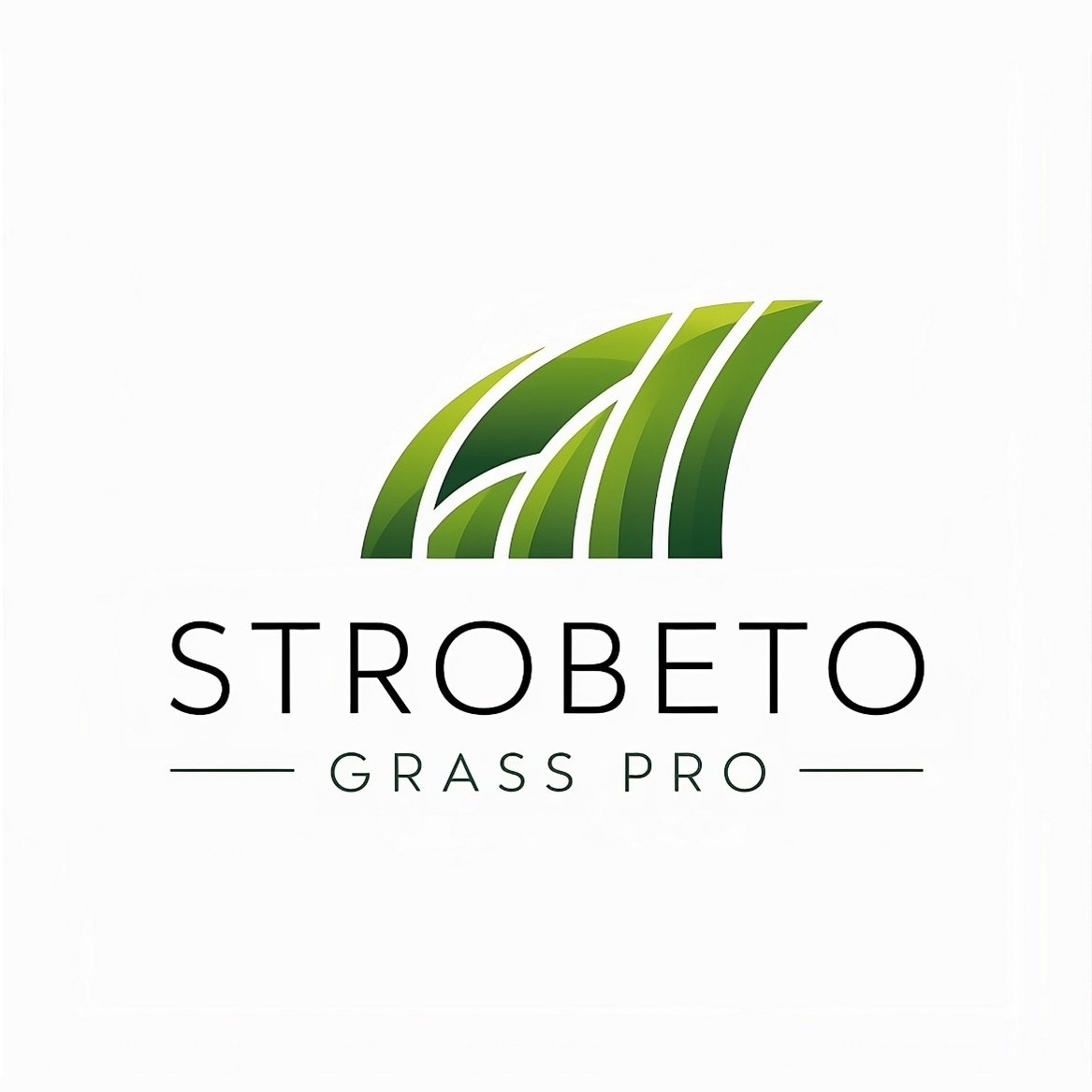 STROBETOgrassPr's profile picture. 