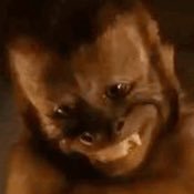 therealcusto's profile picture. 