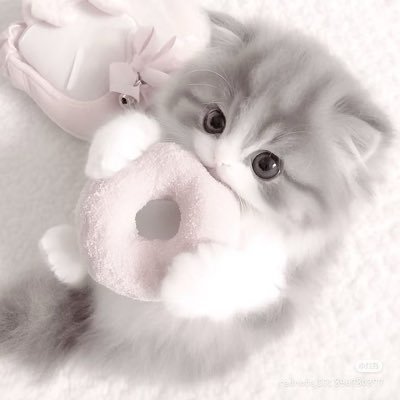 uckkpd's profile picture. うた(▭-▭)✨+👤してない方返信しません！