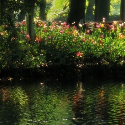 kaancan_arslan's profile picture. Chop the onions finely