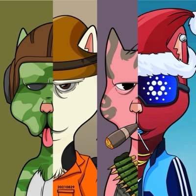 KoolwhaT_LegenD's profile picture. ℂ𝔸ℝ𝔻𝔸ℕ𝕆 *Hᴏᴅʟᴇʀ*Believer*Lᴏᴠᴇʀ* $WMTX, @BossCatRC, @cnfttools, @claymates, @StagAlliance,  $SNEK, $PENGU