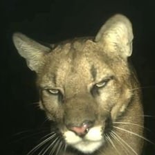 farhadhayat0's profile picture. ہندی ہیں ہم وطن ہے ہندوستاں ہماراㅤㅤㅤㅤㅤㅤㅤㅤㅤㅤㅤ
ㅤㅤㅤसभी का खून है शामिल यहां की मिट्टी में
ㅤㅤㅤㅤㅤㅤㅤㅤㅤㅤㅤㅤㅤㅤㅤㅤㅤㅤㅤㅤㅤㅤㅤ यह हिंदुस्तान किसी के वाप का थोड़ी है।