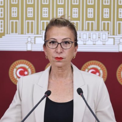 sureyyaoderici's profile picture. Cumhuriyet Halk Partisi Muğla Milletvekili 🇹🇷    📌NATO-PA Demokrasi ve Güvenlik Komisyonu Başkan Yardımcısı 📌TBMM Güvenlik ve İstihbarat Komisyonu Üyesi