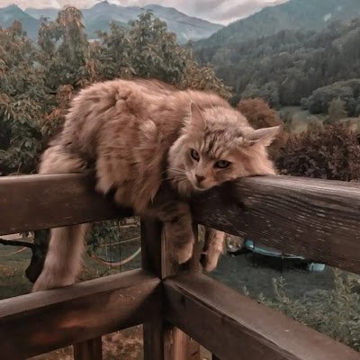 ArjumankhanP's profile picture. not the ordinary one😏