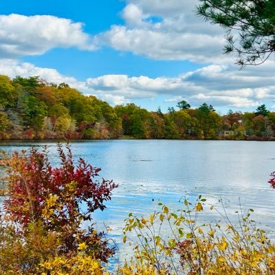 Anyuan158's profile picture. A child of nature, a trained healer, and a joyful poem reader.