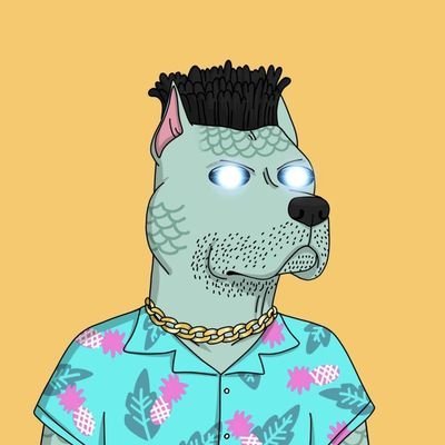 NAirdrop83701's profile picture. follow for follow back 💯💯💯💯💯