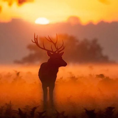 keeou38579651's profile picture. 