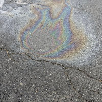 Sakikai1006's profile picture. 頭いいです。年齢と同じ偏差値の学校受かりました。