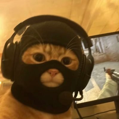 Crispy_Crypt0's profile picture. $BTC $ETH $SOL $NPC $MASK $TROLL