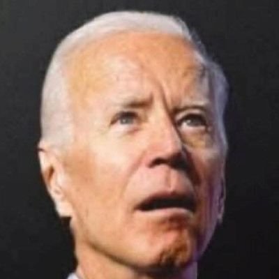 AbsoluteFixati1's profile picture. i cant remember