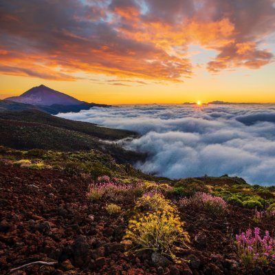 IIllllllIlIIlIl's profile picture. 🟥⚒️                                            Te sigue