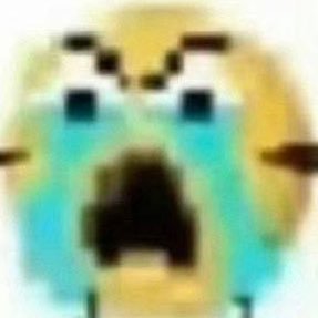 niannian040900's profile picture. 