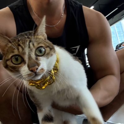 vsatey's profile picture. DM