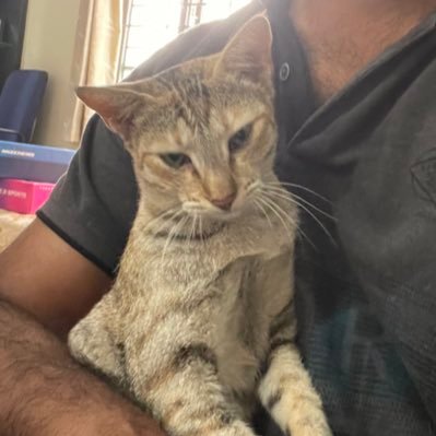 mickey28447's profile picture. Interested in Marxism-Leninism-Maoism ☭