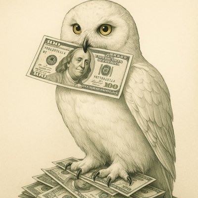 Money0wl's profile picture. In the storm of Web3, I yap to the rhythm of freedom