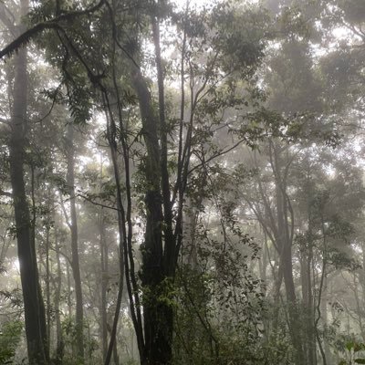 kokobop_fan's profile picture. exol since 2012