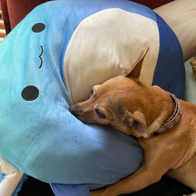 KayhanBakian's profile picture. Recovering Debate Bro | Making Custom Furniture in Los Angeles