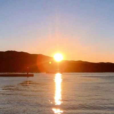 yu23157's profile picture. 映画鑑賞・ランニング・喫茶店巡り・フィギュアスケート鑑賞・沼津旅行が趣味の社会人です✨️ #BABELLABEL に所属している #藤井道人 監督の大ファン🎬️ 2025年11月8日(土)開催の #めぐる沼津映画祭 で推薦委員を担当しました🗻 #サンファン や  #WeTAIWAN がきっかけで台湾に夢中🇹🇼