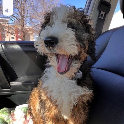 chuckles901's profile picture. 