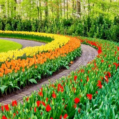 Faisalbaraan's profile picture. 