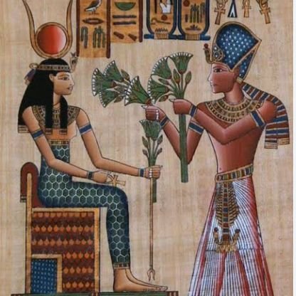 AlkbyrAwy16634's profile picture. 