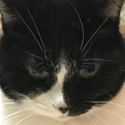 いなまるページ 803C1AC2609FABC509832CA2785384