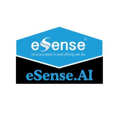eSenseAI's profile picture. We deliver AI-driven solutions to help enterprises boost productivity, cut costs, and innovate responsibly. 24+ years of technology expertise.
