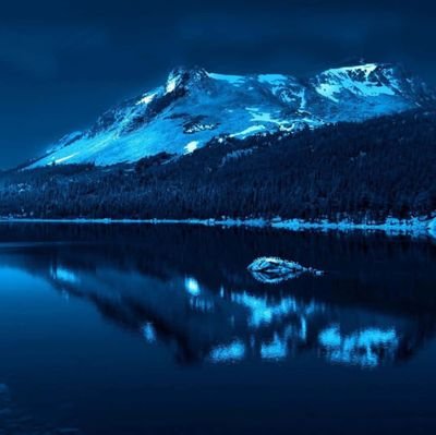 SeldomMusings's profile picture. 