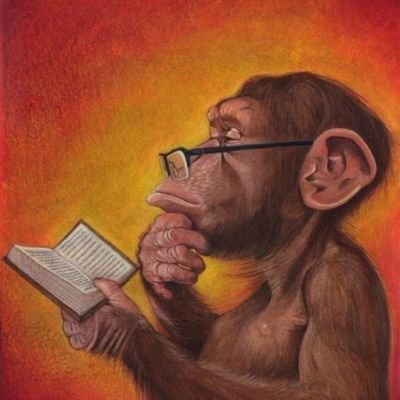 Hasenfutta's profile picture. 