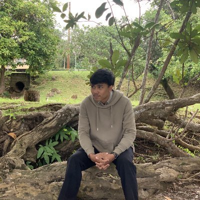 silmarillion_22's profile picture. Even the smallest person can change the course of the future. – (LOTR)