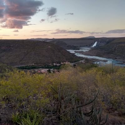 wellingtonps20's profile picture. 