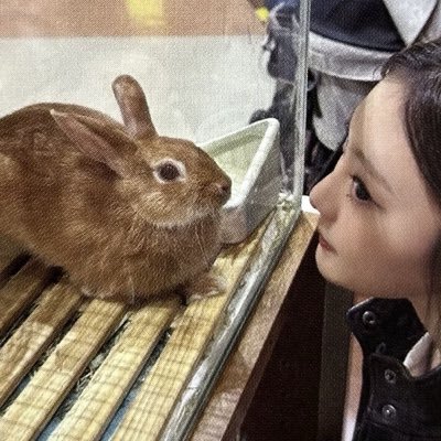 haeglinda's profile picture. renhaechi truther till i die .