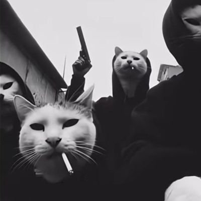 jagatakbari's profile picture. 🫵
🤡
🌎 
🌈
🦈 
🐱
🦄 
$AURA $SC $MINI $OIIAOIIA  $YAKUB $GLORP $MICHI $KITTY