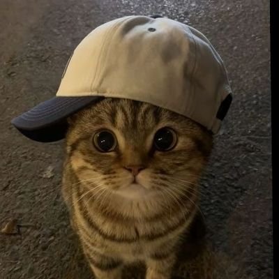 ikasarchive's profile picture. suka ngedrakor + sekarang lagi ngortis gatau besok 😌 kalo shin eunsoo selalu di hati🫶🏻
sampingan @tripbekasi